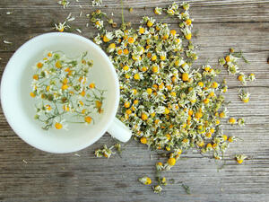 البابونج لإزالة الدهون عن منطقة الخضر والبطن