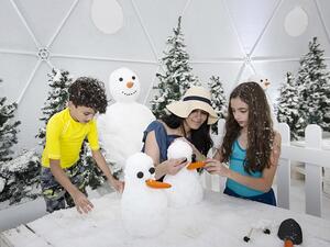 Cool Kids Corner in Ice Dome