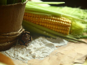 نشا الذرة غني بالبروتينات الضرورية لصحة الكلى (Shutterstock.com)

