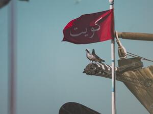 Kuwait Celebrates 58th National Day. (Twitter)