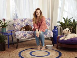 Drew Barrymore (Twitter)