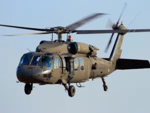 American helicopters (Shutterstock)