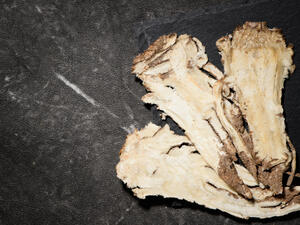 عتبر حشيشة الملاك الصينية مقوية لوظائف الكبد