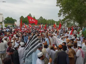 Protest against rigged election in front of election commission of Pakistan (Twitter)