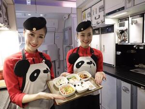 Newest plane dressed up for the “Panda Route (Twitter)