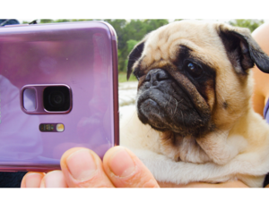 The Samsung Galaxy S9 and S9+’s Super Slow-mo camera captures slow motion video at 960 frames per second.