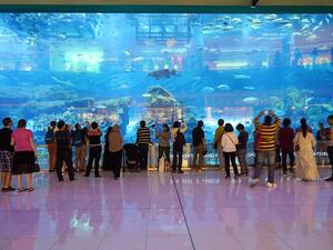 Lesson #1: Embrace diversity. (Shutterstock) Lesson #1: Embrace diversity. (Shutterstock)