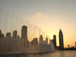 العصابة، التي يحمل أفرادها جنسيات أربع دول، أطلقوا عدة رصاصات على رأس المجني عليه