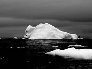 Antarctica (Twitter)