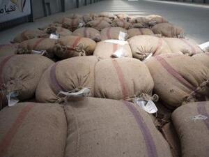 أجولة من القمح داخل مستودع في مدينة الإسكندرية
