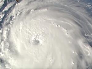  اعصار فلورنس المدمر