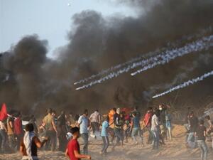 سبعة شهداء في غزة