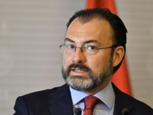 وزير خارجية المكسيك لويس فيديغاراي