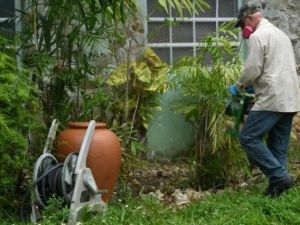 عامل صحة يقوم برش حديقة احد المنازل للتخلص من البعوض المسبب للفيروس زيكا، في ميامي بولاية فلوريدا
