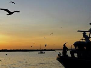 مرفأ ايسلا كريستينا في جنوب اسبانيا الذي تنطلق منه عدة سفن يسمح لها بالصيد قبالة المغرب
