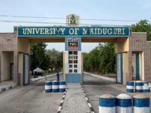 مدخل جامعة مايدوغوري
