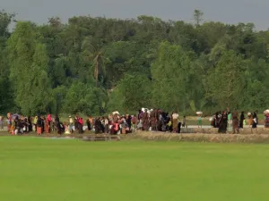 ارشيف