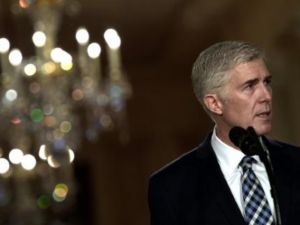 القاضي نيل غورستش