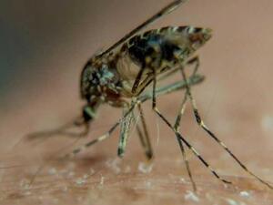 (PHILIPPE HUGUEN / AFP)