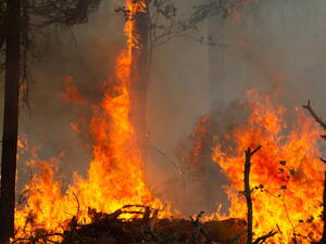 (Shutterstock/ File Photo)