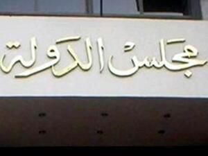 The Egypt State Council. (Twitter)