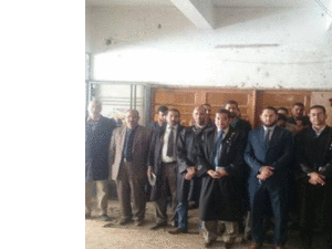 محامون مصريون