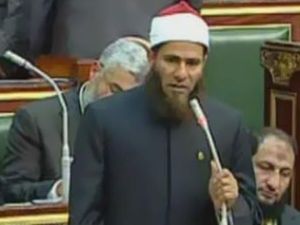 النائب ونيس/ارشيف