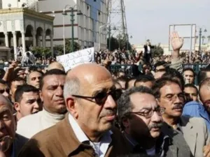 البرادعي ينضم للمتظاهرين