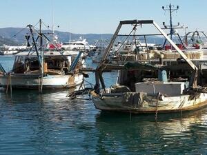 اختفاء 30 صيادًا مصريًا، قرب السواحل الليبية