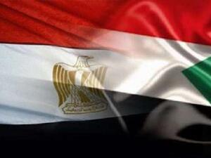 رئيس الجانب المصري قال أن الجانبين اتفقا على الترتيب لعقد مؤتمر استثماري كبير