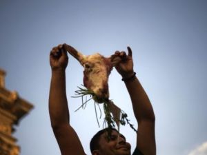 معارض يحمل رأس خروف في تظاهرة معارضة للرئيس.والخرفان كلمة يطلقها المعارضون على جماعة الاخوان المسلمين التي ينتمي لها مرسي/أ.ف.ب