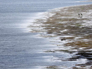 الحجر النوبي يمتد تحت 4 دول ويعد الأكبر على مستوى العالم