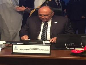 وزير الخارجية المصري سامح شكري