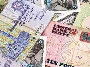 The Turkish lira lost about 20 percent of its value against the US dollar. (Shutterstock)