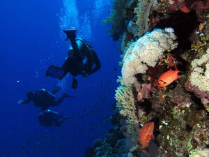 Tiran and Sanafir are hot spots for both Egyptian and foreign scuba diving hobbyists. (Flickr/Derek Keats)