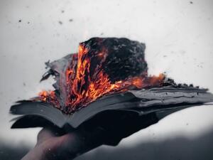 Protesters plan to burn books in what they call the 'absurd' sentencing of novelist Ahmed Naji.