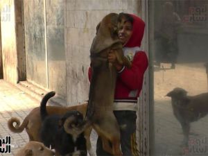 Abd El-Rahman, a homeless young Egyptian boy, was filmed by local news dancing with street dogs. (Youm7)