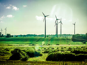 Saad said he expects to recoup half of his initial investment in his power station in Minya in about four months. (shutterstock)