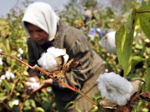 Only non-married women, widows, and divorcees are allowed to live in the village (AFP/File)