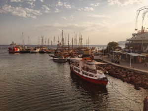 The coastal town of Eilat saw a violent altercation earlier today. (Albawaba)