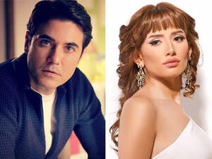 Ahmed Ezz and Zeina - is a DNA test the only way to settle it? (Facebook)