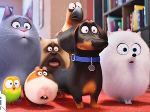 The Secret Life of Pets  