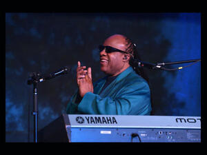 Stevie Wonder (Getty Images/Larry Busacca)