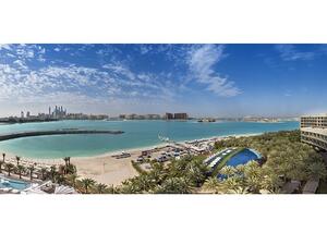 ريكسوس النخلة