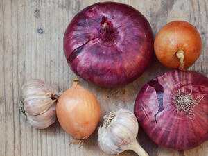 كلما زاد استهلاك خضروات الـallium تعززت فرص الحماية من سرطان القولون