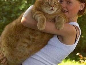 هذا بس ولا عجل!