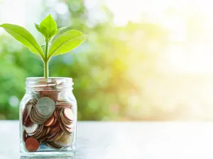 Banking regulators should work with banks to adopt good practices in the management of human, natural and financial resources. (Shutterstock)