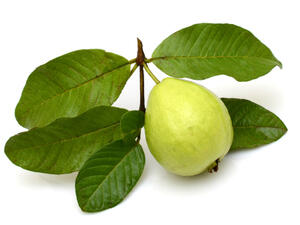 تعتبر الجوافة إحدى أنواع الفواكه التي تتميز بقوامها وطعمها المميزين