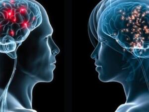 دماغي الرجل وزوجته يتفاعلان بطريقة مختلفة مع المحفزات السلبية والإيجابية.