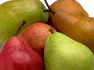 الكمثرى / الإجاص الشهي بالالوان المختلفة 